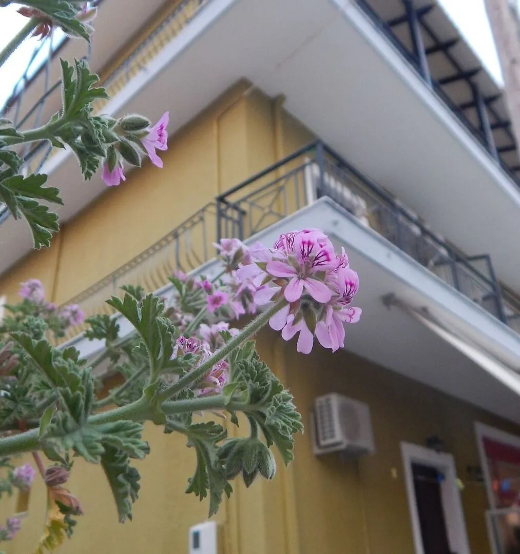 Aparthotel Petania Hotel & Apartments Lixouri